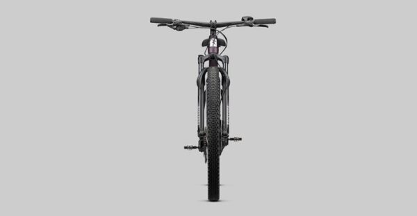 Radon ZR Lady Hybrid 500 – Bild 2